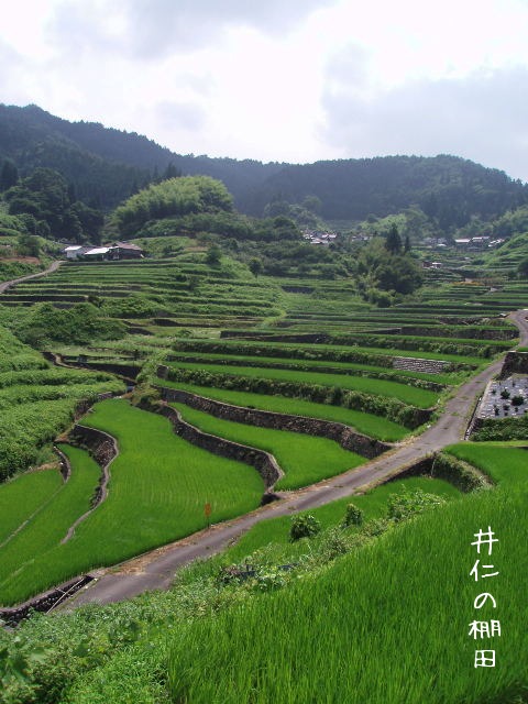d0098183_10524812.jpg