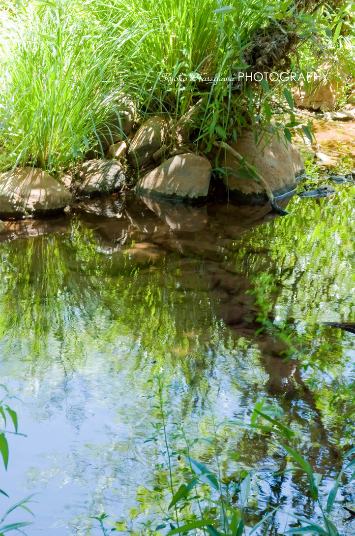 e0148185_1242134.jpg