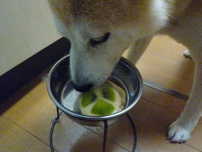 c0123890_20163491.jpg