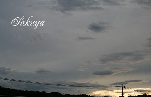 e0122194_1912106.jpg
