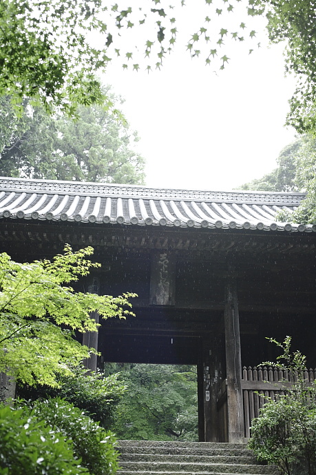 f0219195_23392719.jpg