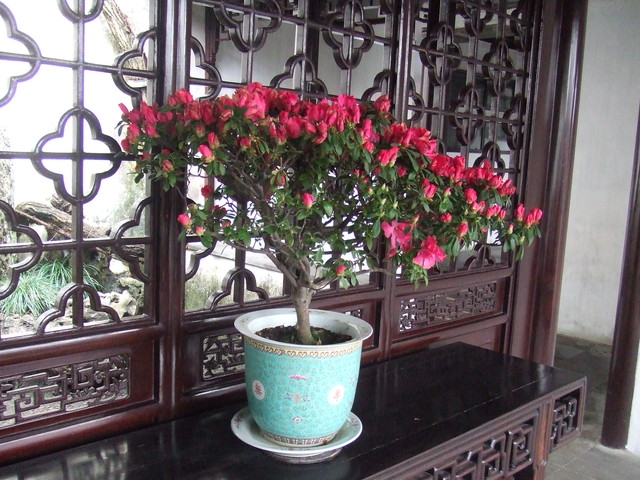 e0039100_22205179.jpg