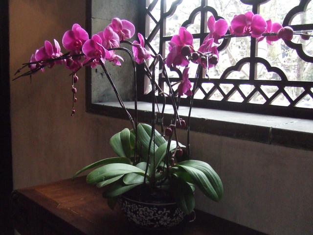 e0039100_22211032.jpg