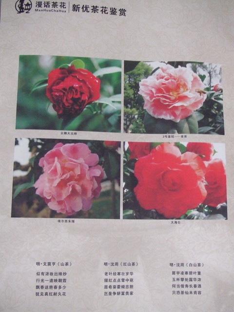 e0039100_22214520.jpg