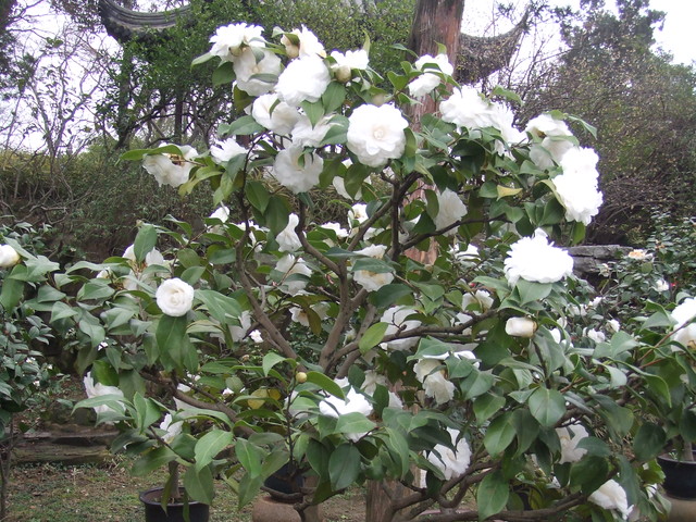 e0039100_2222027.jpg