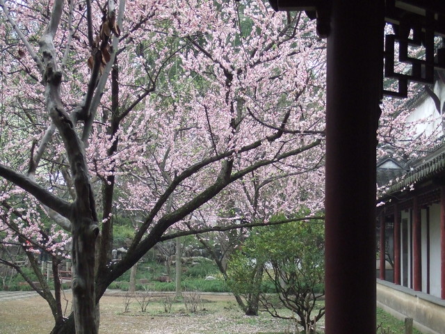 e0039100_22221275.jpg