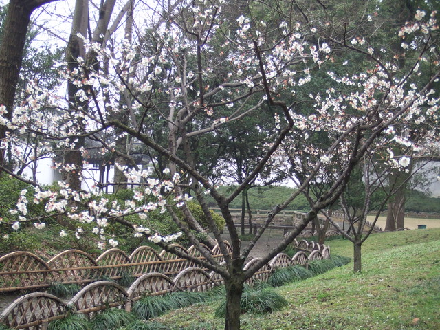e0039100_22301567.jpg