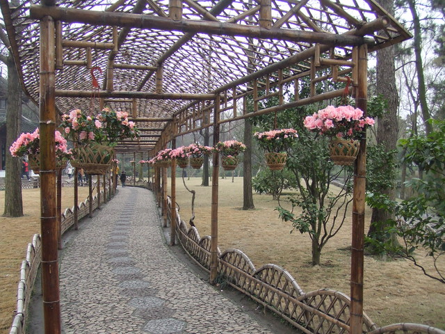 e0039100_22302247.jpg