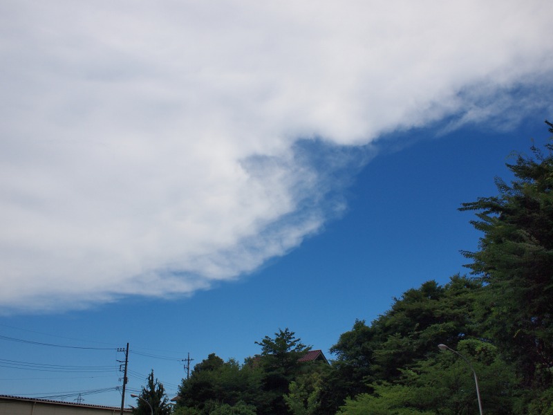 f0224100_7583534.jpg