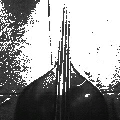 c0202101_0111046.jpg
