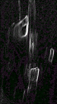 c0202101_0154284.jpg