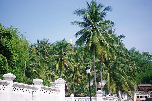 e0087008_11411619.jpg