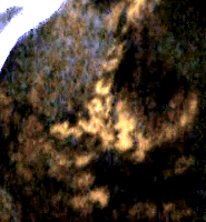 e0103408_13502977.gif