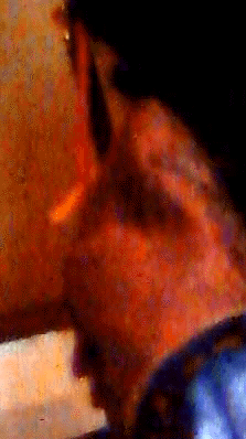 e0103408_13504725.gif