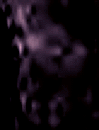 e0103408_142371.gif