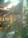 f0221708_20511752.jpg