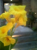 f0221708_2052775.jpg