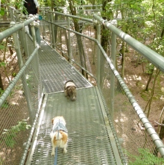 e0078510_13455760.jpg