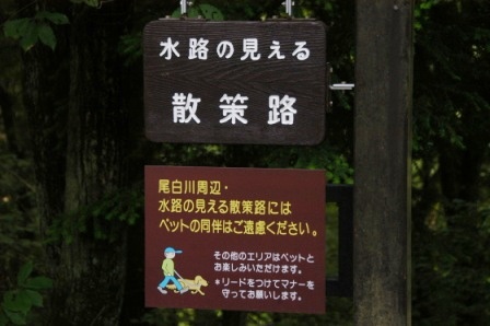 e0078510_16522042.jpg
