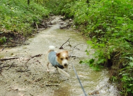 e0078510_16554962.jpg