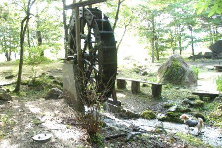 e0078510_17231591.jpg