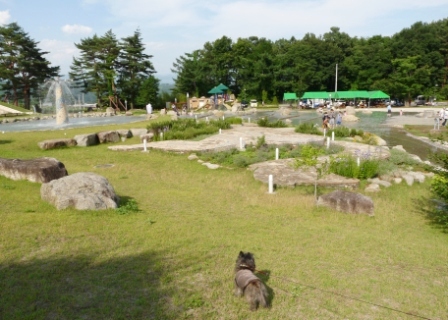 e0078510_1723436.jpg