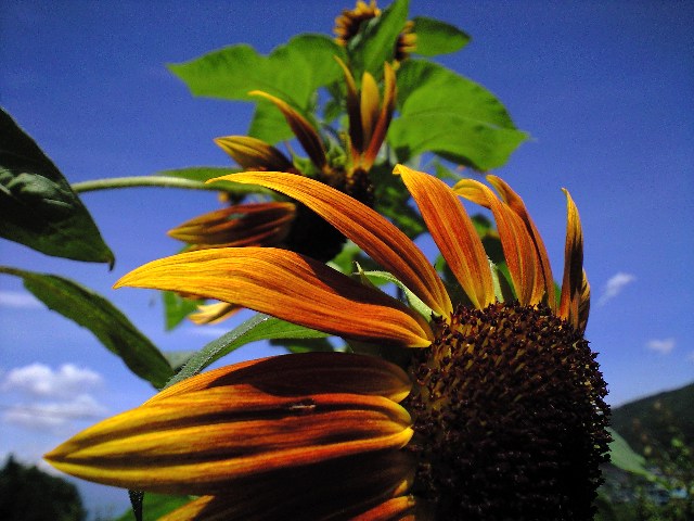 e0087511_19233050.jpg