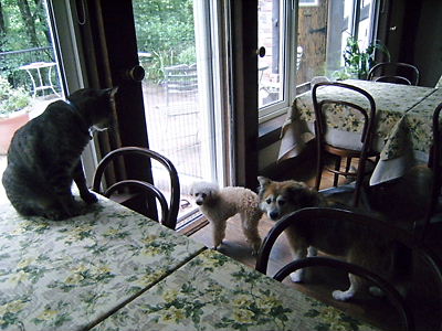 c0029913_0235516.jpg