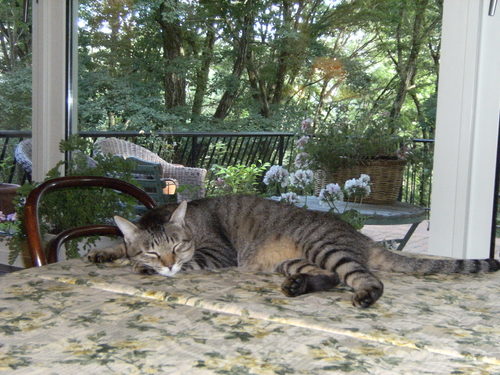 c0029913_0305617.jpg