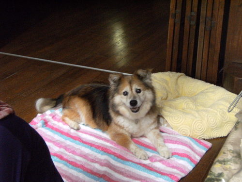 c0029913_0332575.jpg