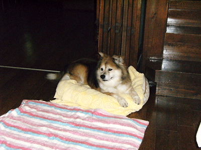 c0029913_0361244.jpg