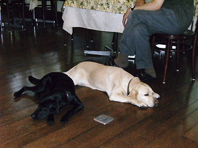 c0029913_0403469.jpg