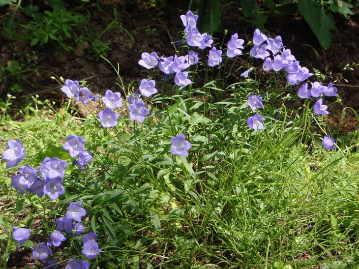 d0143719_9132713.jpg