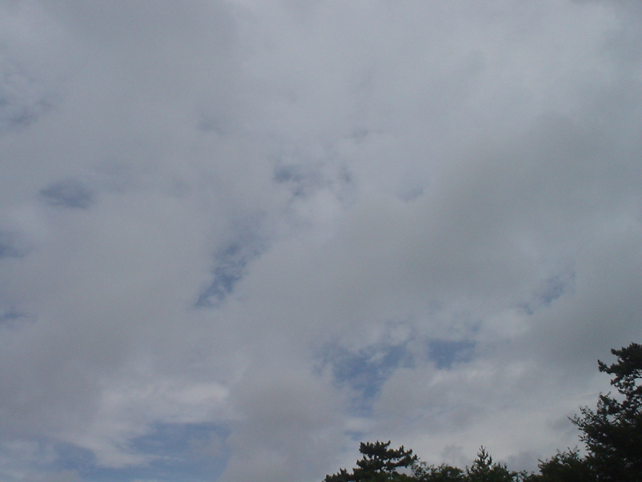 c0150520_1443143.jpg