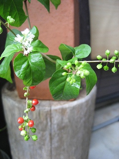 f0139520_18213551.jpg