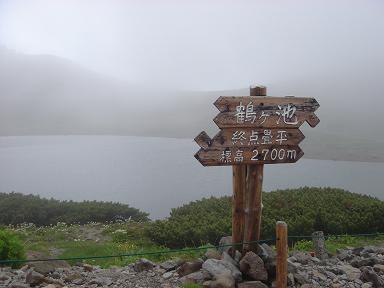 f0000521_854770.jpg