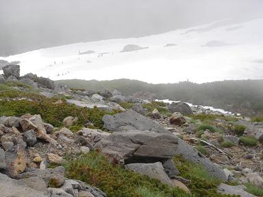 f0000521_941268.jpg