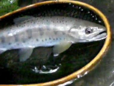 a0097823_22351369.jpg