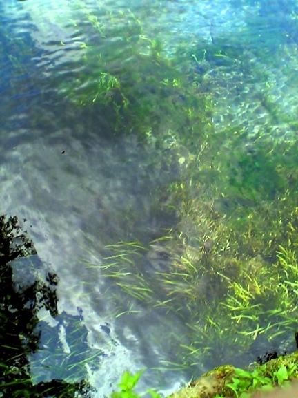 d0035823_14232672.jpg