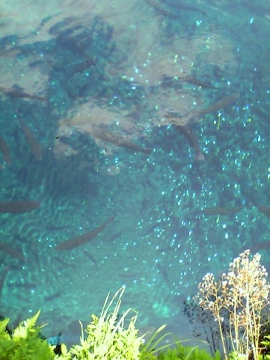 d0035823_14241598.jpg