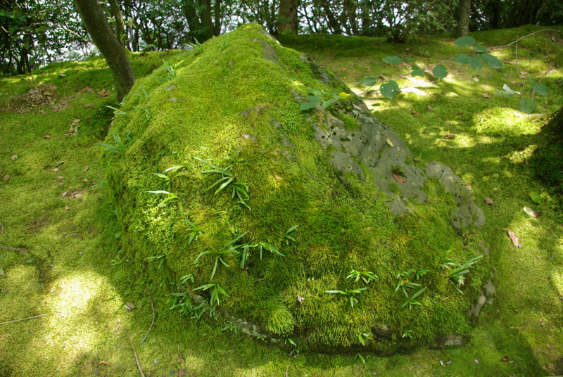 c0195327_18195329.jpg