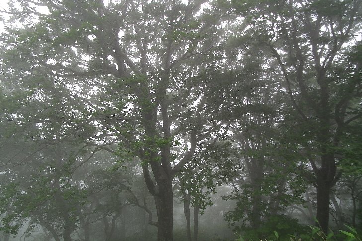 f0118332_23271196.jpg