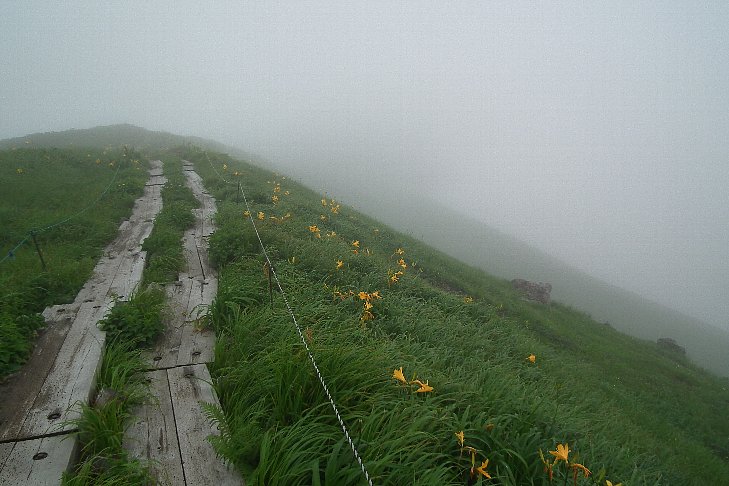f0118332_2327513.jpg