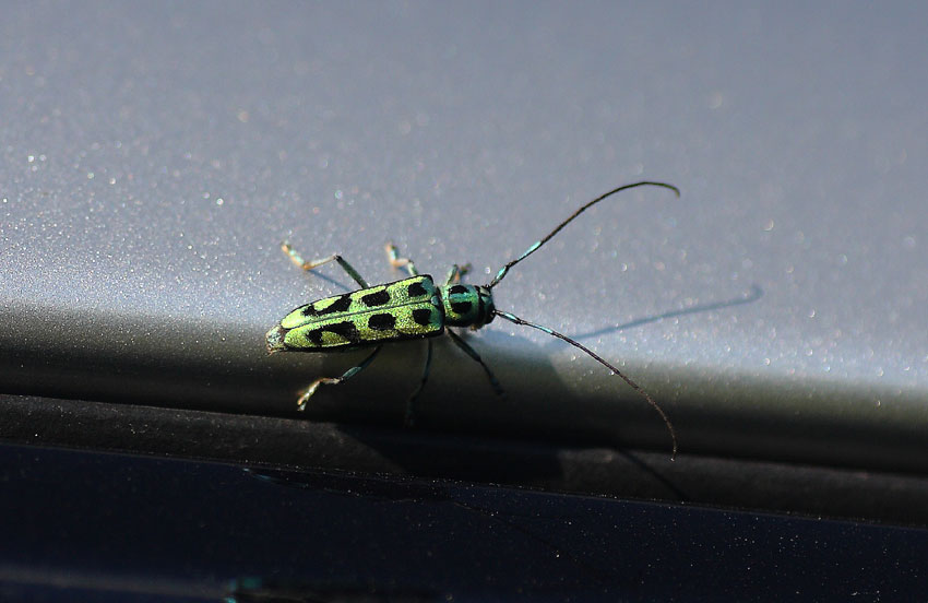 d0069235_034269.jpg