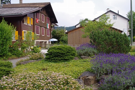 d0092439_202579.jpg