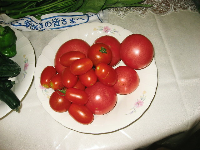 a0149240_16241427.jpg
