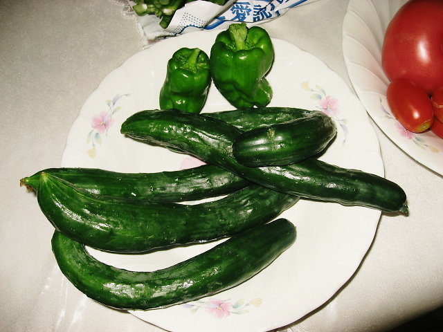 a0149240_16243014.jpg