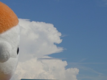 f0050651_20411630.jpg