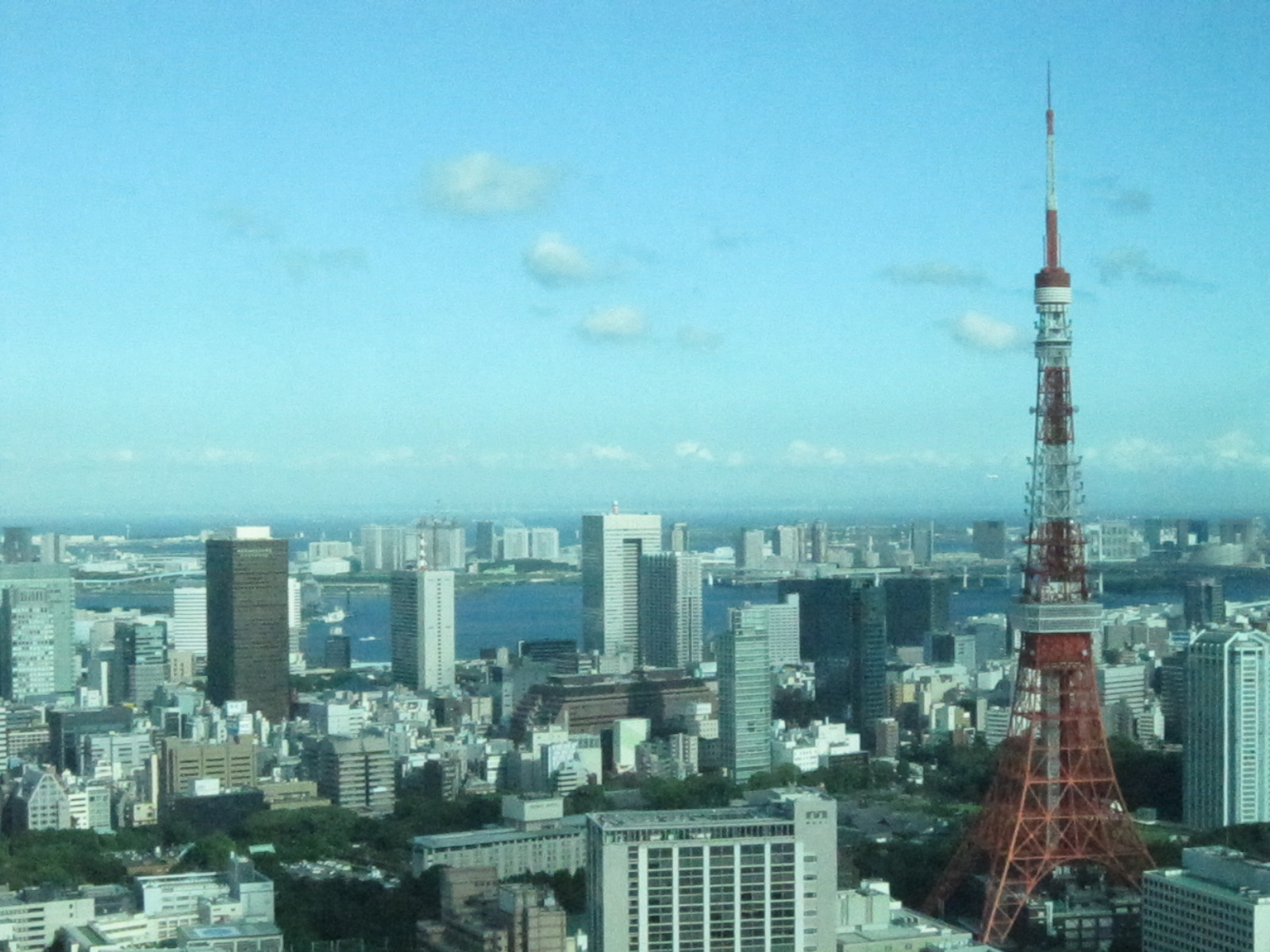 d0155853_233979.jpg