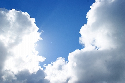 a0117858_22574.jpg